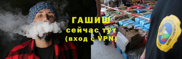 сатива Алзамай