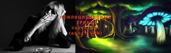 хмурый Алексеевка