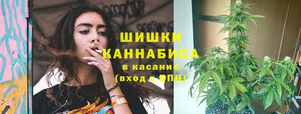 сатива Алзамай