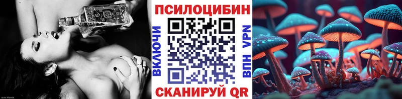 наркота  Омутнинск  Галлюциногенные грибы Psilocybine cubensis 