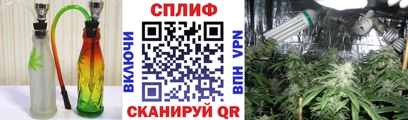 Шишки марихуана MAZAR  Омутнинск 
